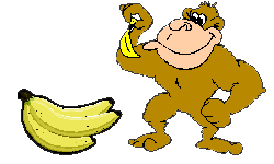 banana gorilla