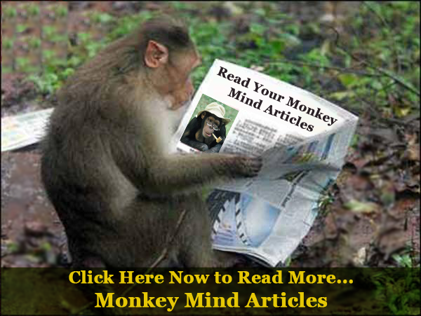 Monkey Mind Articles